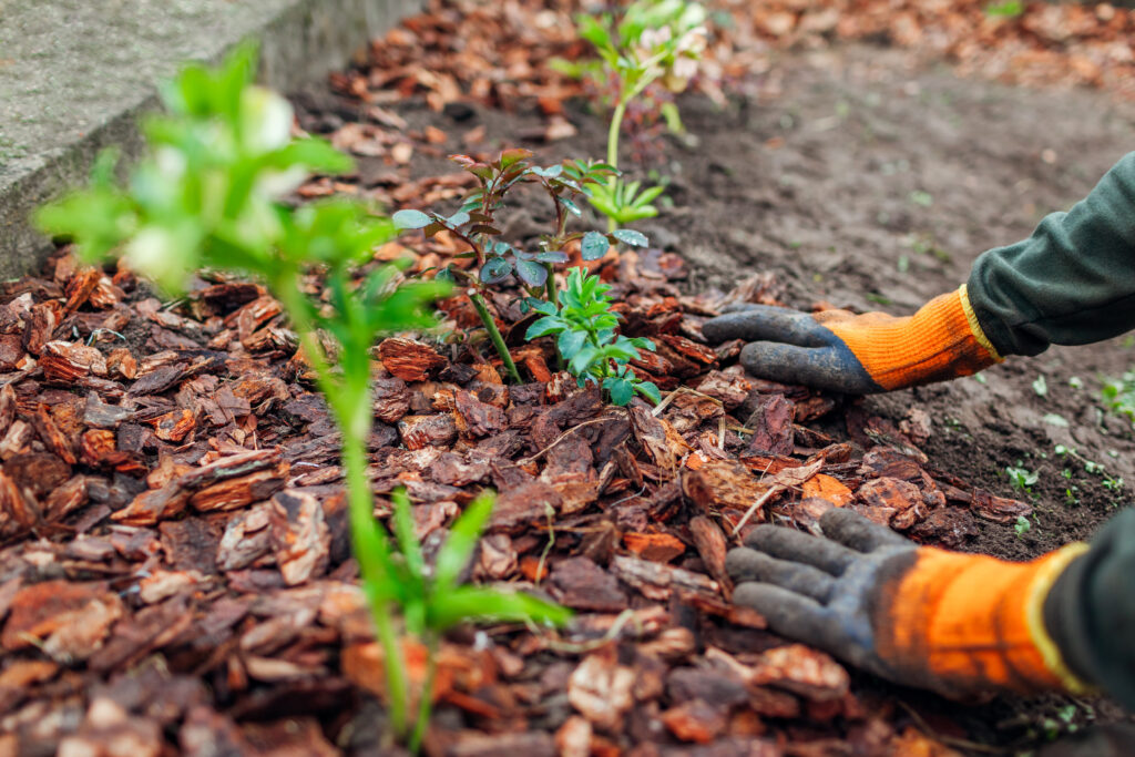 We are mulch, compost and organics experts