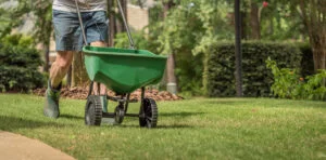 Grass seeding is a great way to revitalize your lawn